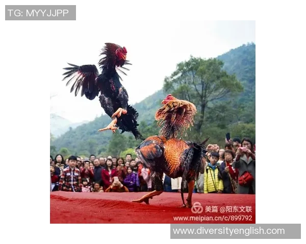 文江镇足球比赛精彩直播回放全程回顾与精彩瞬间分析