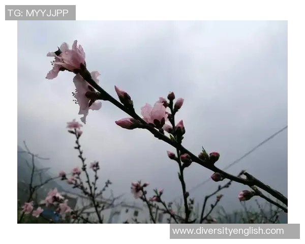 梅春时节的温暖回忆与自然的交融之美