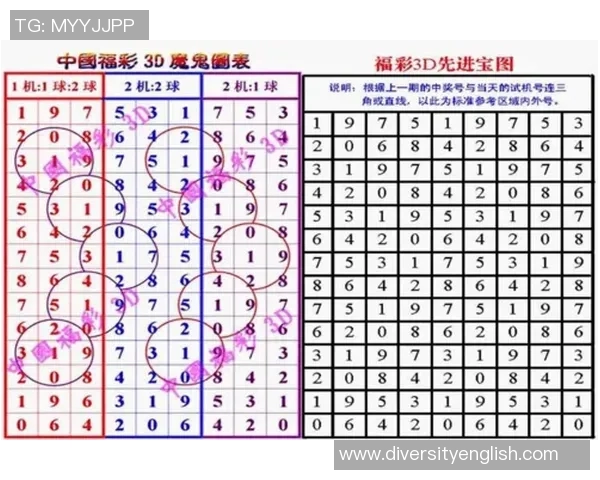 如何解读3D天罡八卦图的奥秘与应用技巧详解